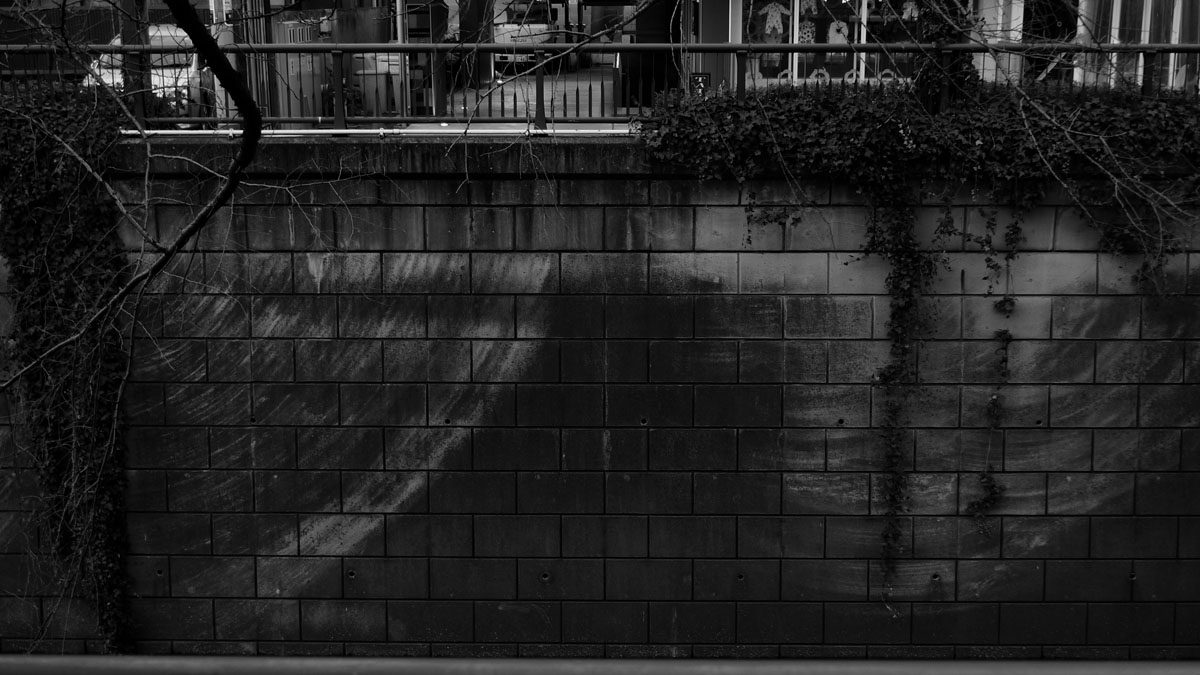 120102 Tokyo 158